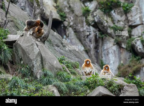 玉合公園怎麼樣 可不可以分享一下你對玉合公園的看法